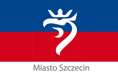 Wsparcie sportu