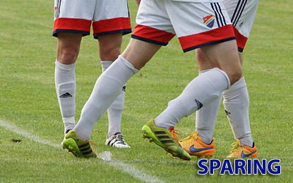 Sparing nr 4
